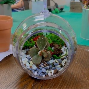 Meet your Posher Dee